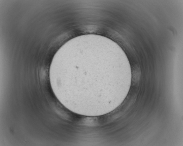 X0000112780126200910011305