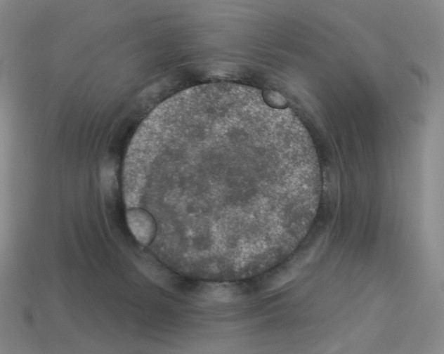 X0000112780127200910011305