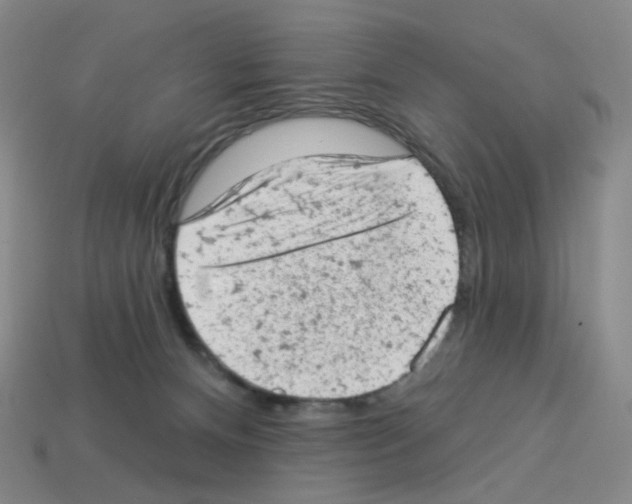 X0000112780128200910011305