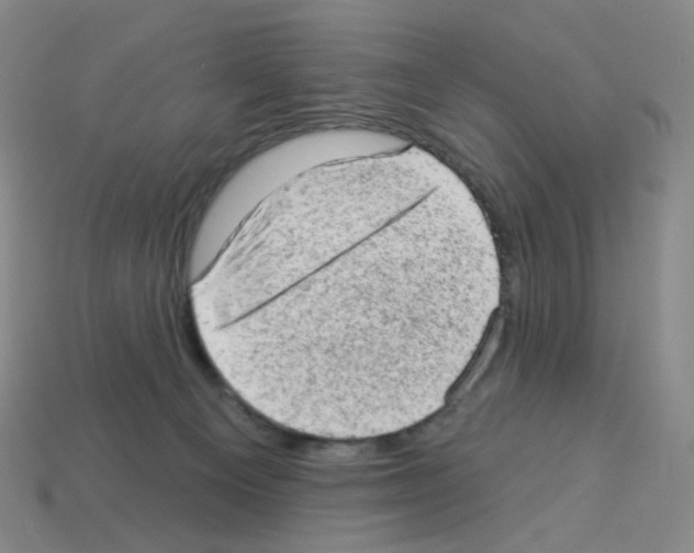 X0000112780129200910011305