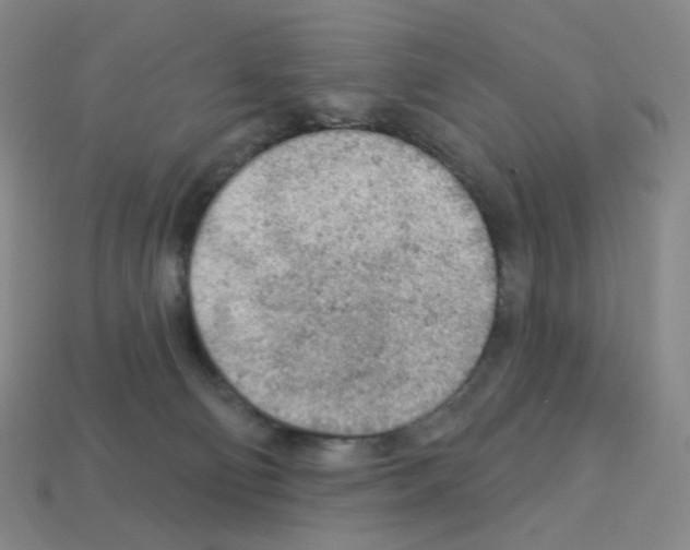 X0000112780130200910011305