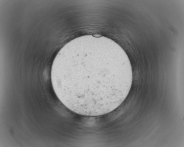 X0000112780131200910011305