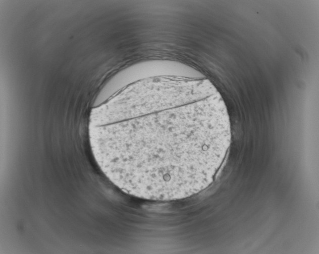 X0000112780132200910011305