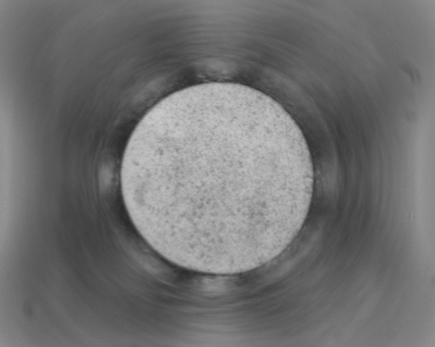 X0000112780134200910011305