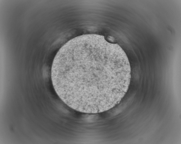 X0000112780135200910011305