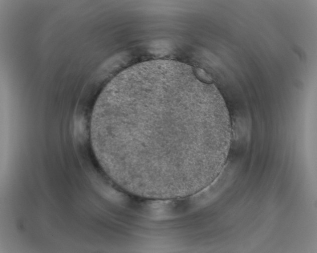 X0000112780136200910011305