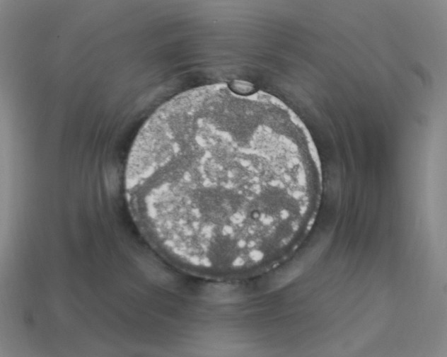 X0000112780139200910011305