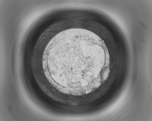 X0000112780143200910011305