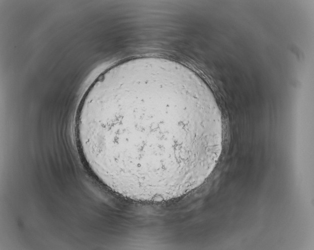 X0000112780147200910011304