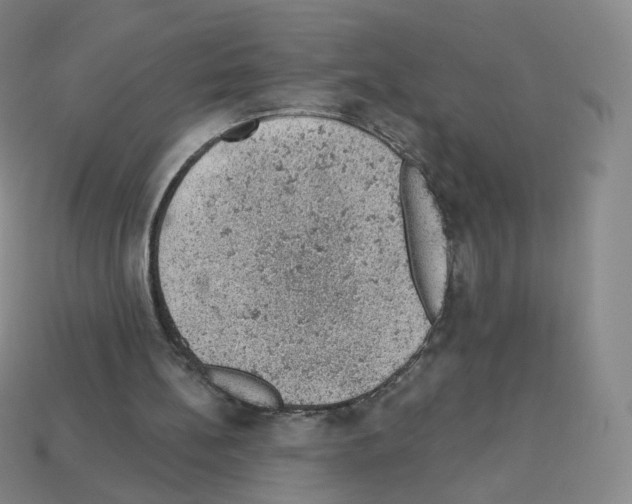 X0000112780148200910011305