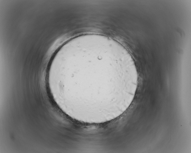 X0000112780151200910011305