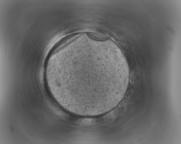 X0000112780152200910011305