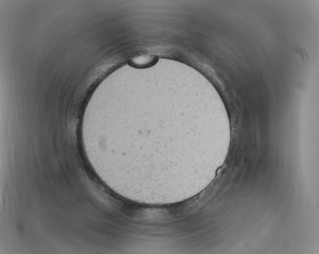 X0000112780154200910011305