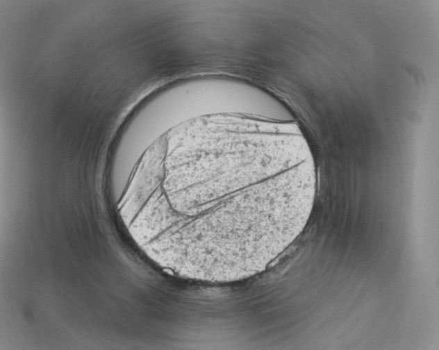 X0000112780156200910011305