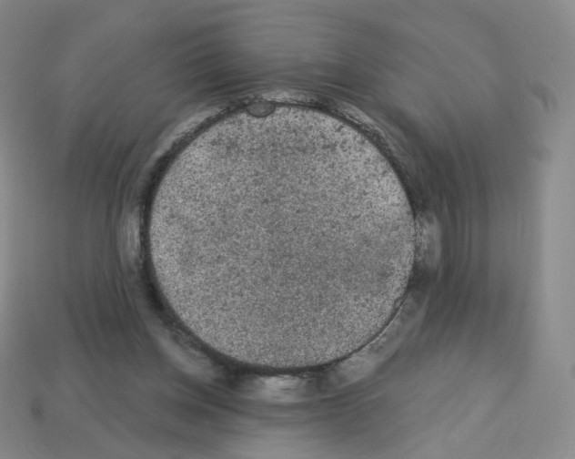 X0000112780158200910011305