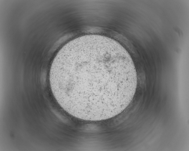 X0000112780159200910011305