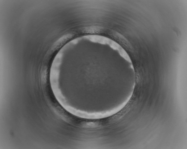 X0000112780163200910011305