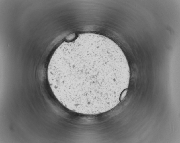 X0000112780164200910011305