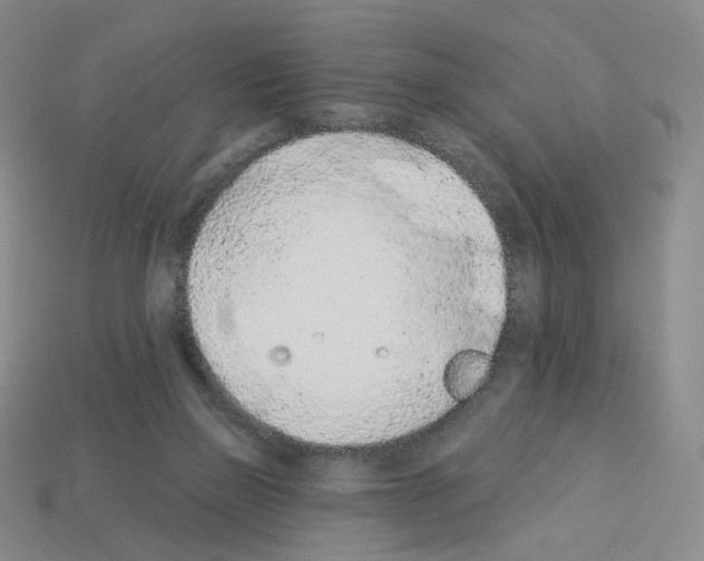 X0000112780165200910011305