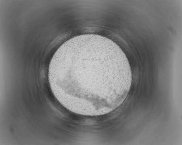 X0000112780166200910011305