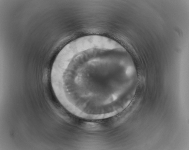 X0000112780167200910011305