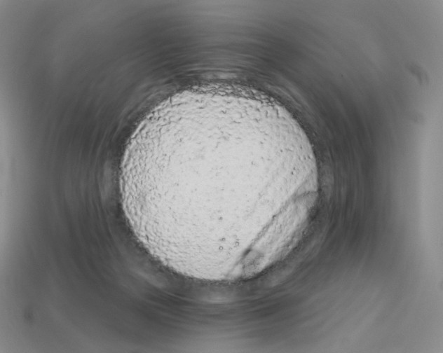 X0000112780169200910011305