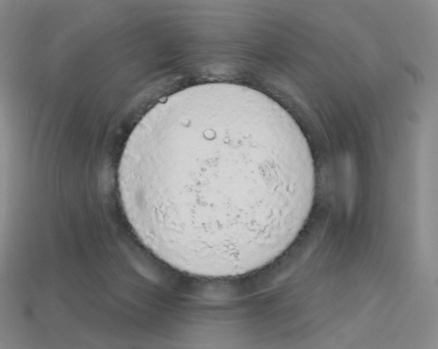 X0000112780173200910011305