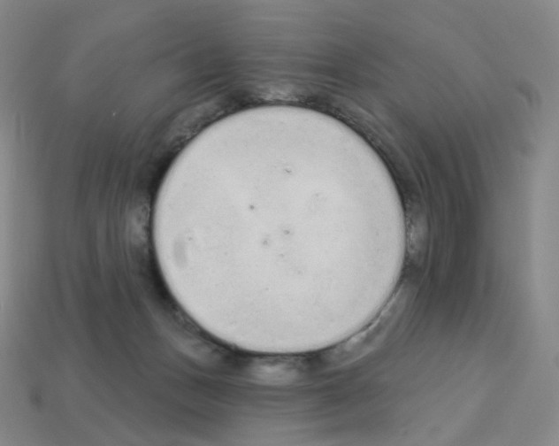 X0000112780175200910011305