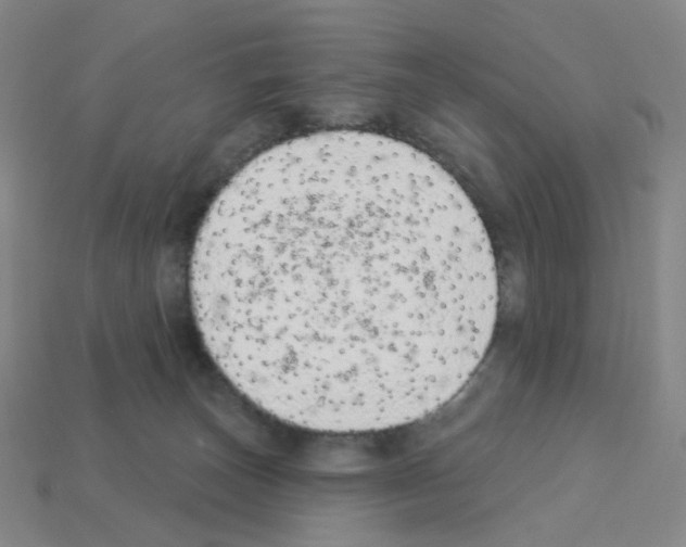 X0000112780179200910011305