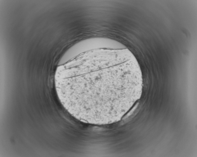 X0000112780180200910011305