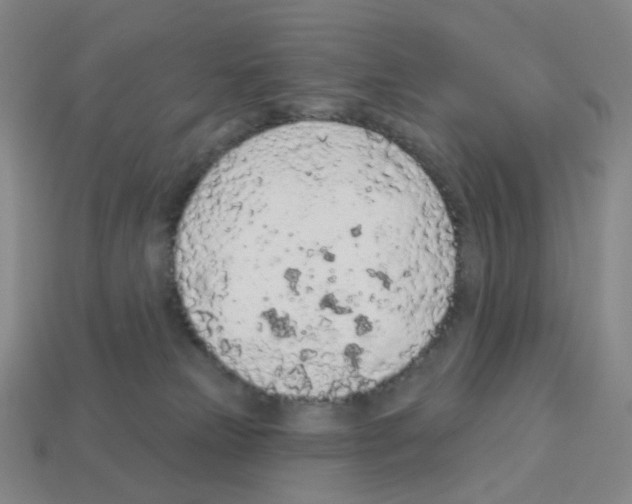 X0000112780181200910011305