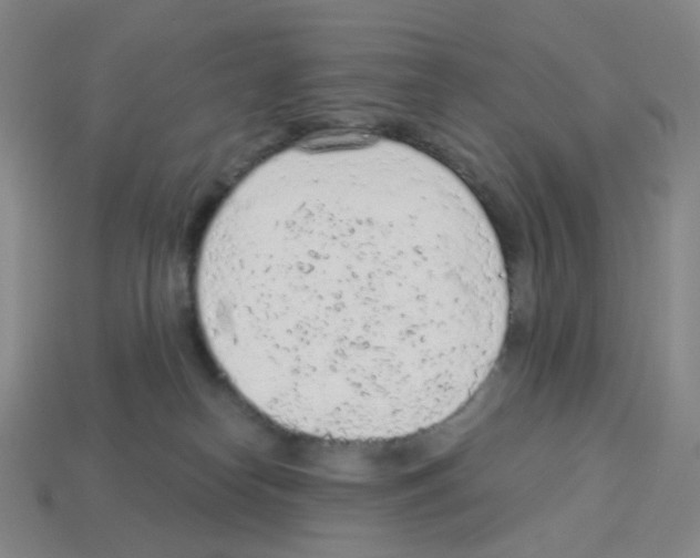 X0000112780182200910011305