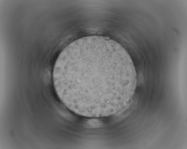 X0000112780183200910011305