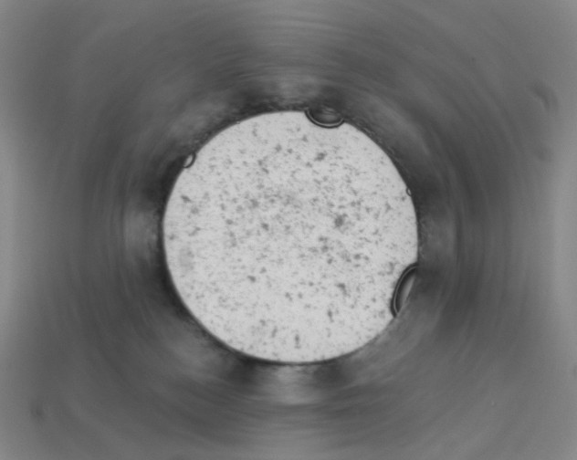 X0000112780184200910011305