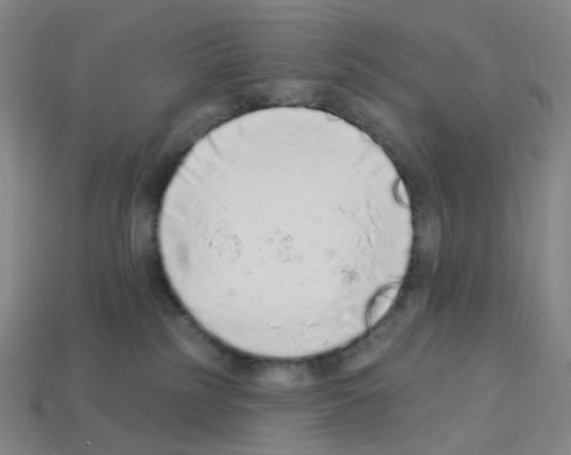 X0000112780185200910011305