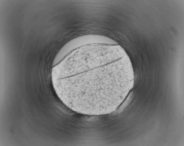 X0000112780186200910011305