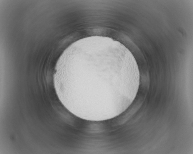 X0000112780189200910011305