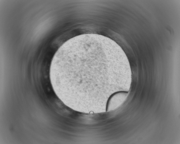 X0000112780190200910011305