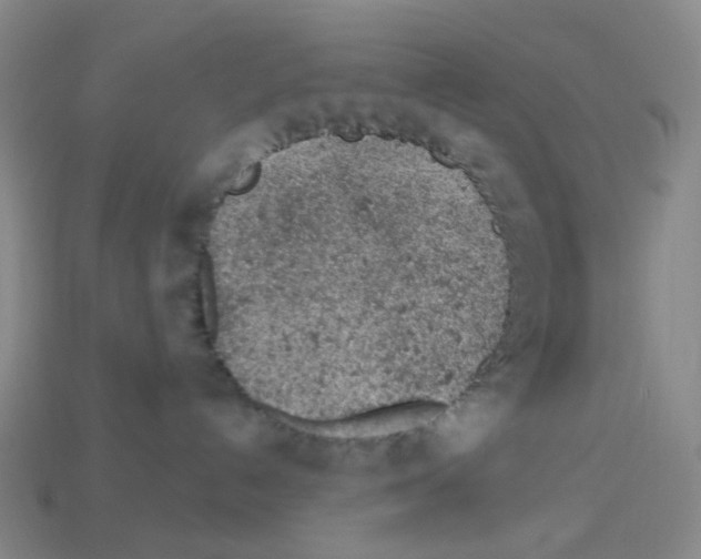 X0000112780192200910011305