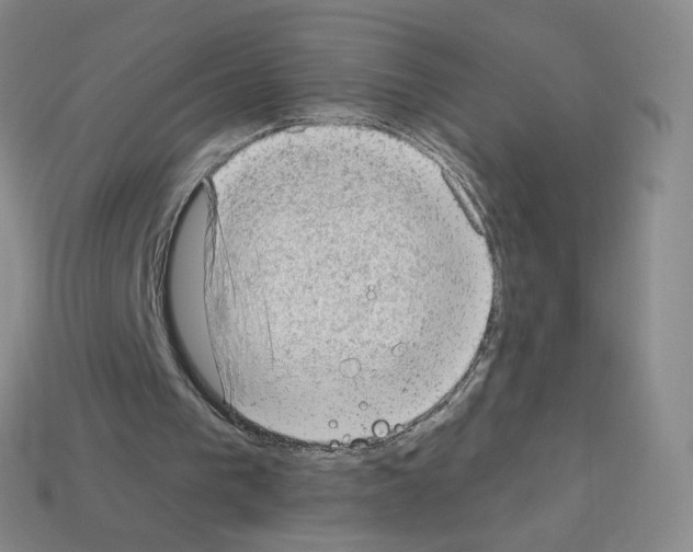 X0000112780193200910011304