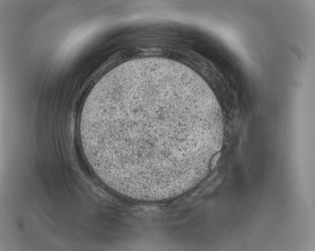 X0000112780194200910011304