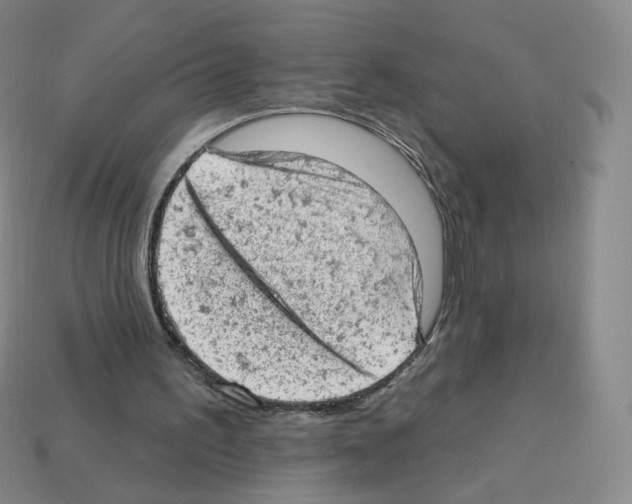 X0000112780195200910011304