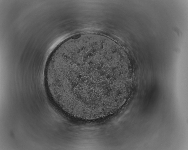 X0000112780196200910011304