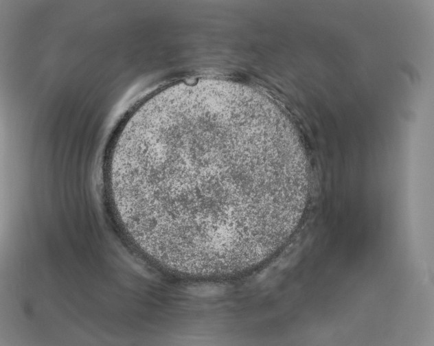 X0000112780198200910011304