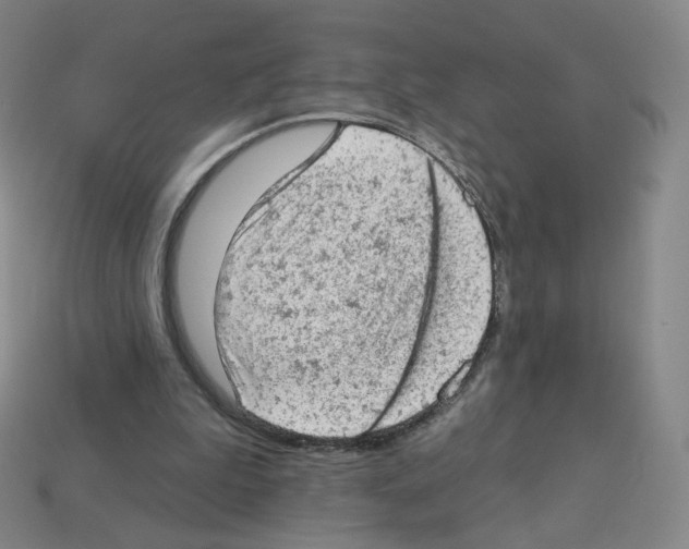 X0000112780199200910011304