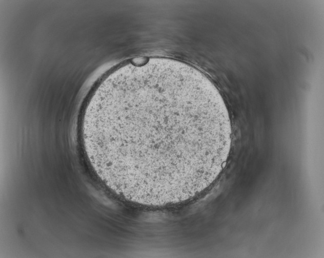 X0000112780200200910011304