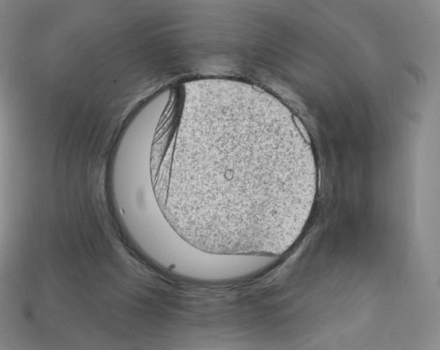 X0000112780201200910011304