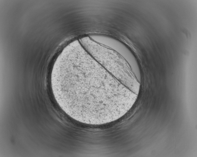 X0000112780203200910011304