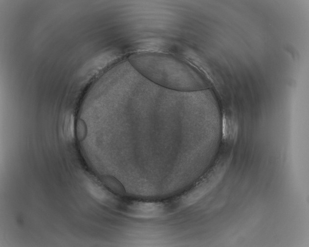 X0000112780205200910011304