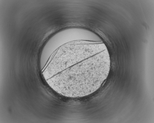 X0000112780207200910011304